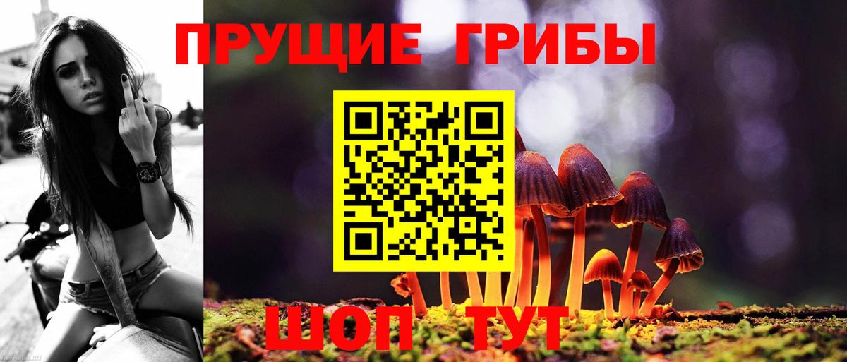 Галлюциногенные грибы MAGIC MUSHROOMS  продажа наркотиков  Зима  Вход с VPN 